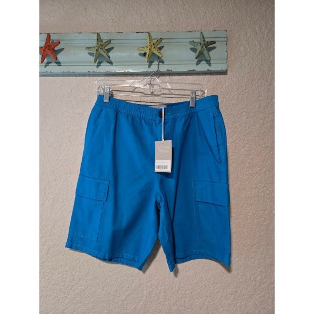 Everlane Men's Blue Cargo Shorts